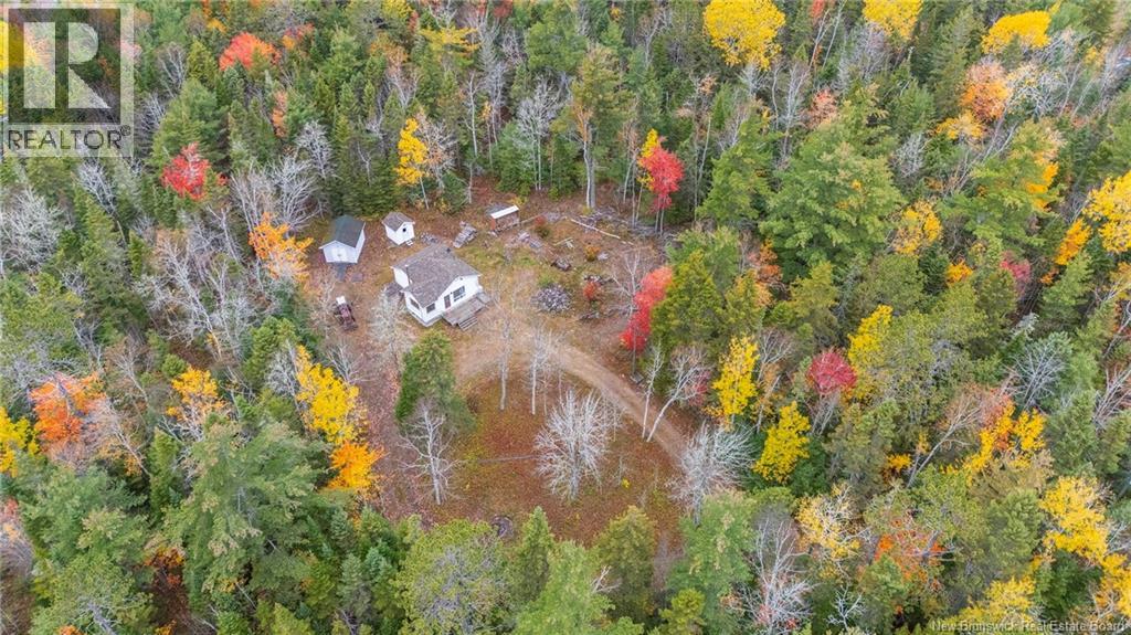 41 Hunters Lane, Anagance, New Brunswick  E4Z 0C6 - Photo 45 - NB149947
