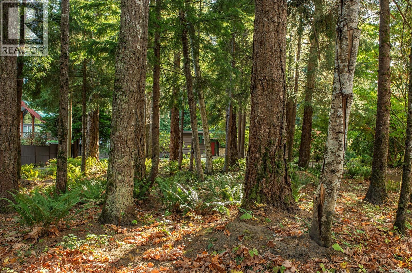 2691 Campbell River Rd
