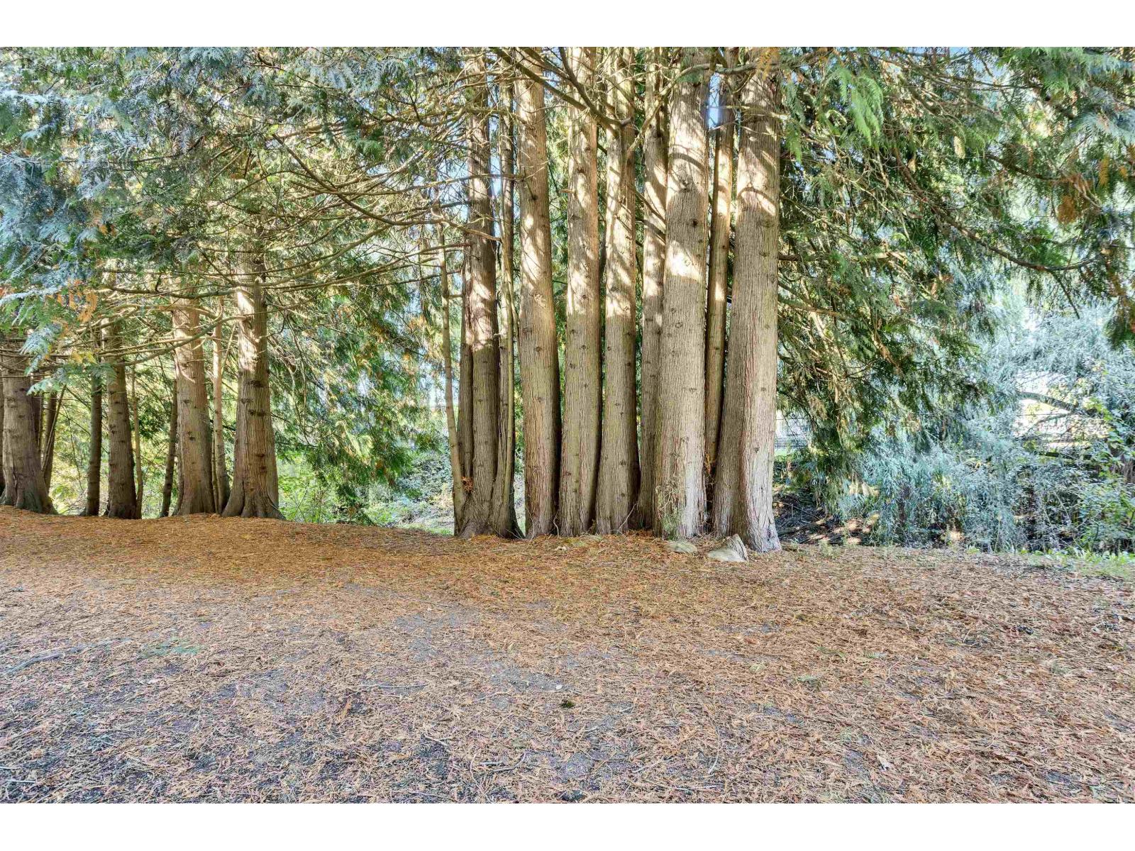 10 46375 CESSNA DRIVE|Chilliwack Proper South