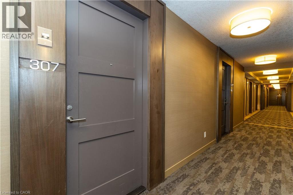 300 Front Street W Unit# 307, Toronto, Ontario  M5V 0E9 - Photo 4 - 40872250