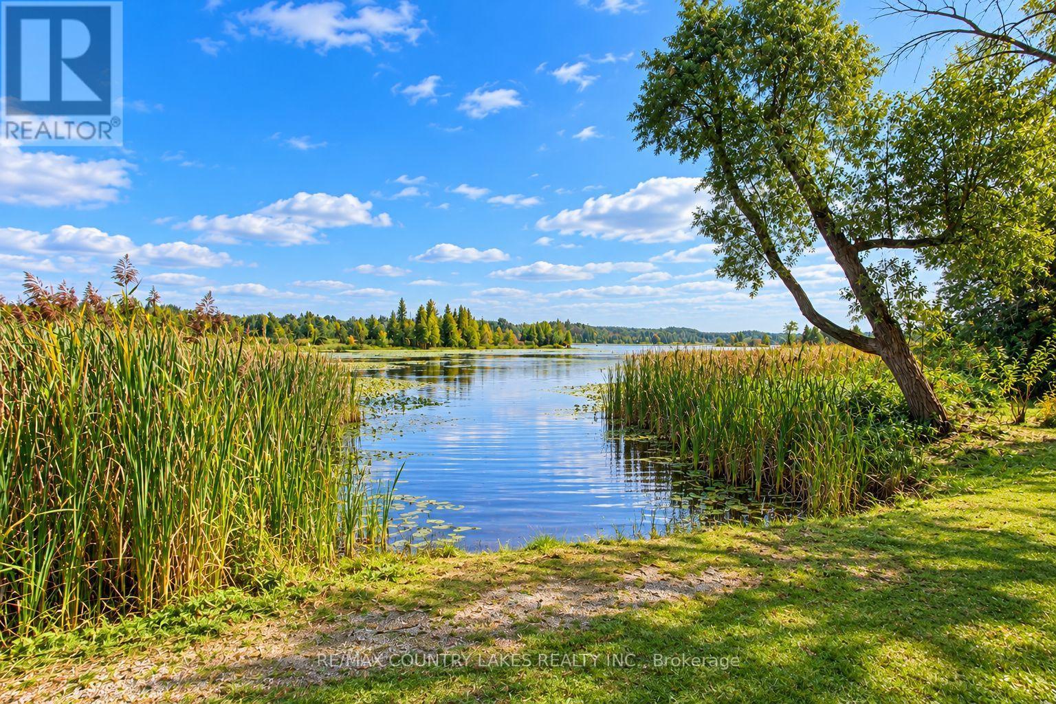 129 Mcguire Beach Road, Kawartha Lakes, Ontario K0M 2B0 - Photo 32 - X13728058
