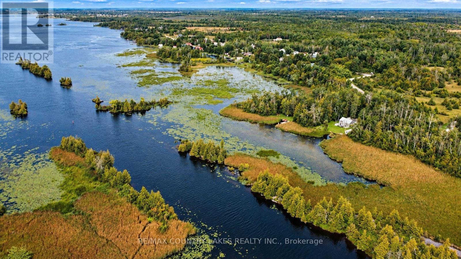 129 Mcguire Beach Road, Kawartha Lakes, Ontario K0M 2B0 - Photo 36 - X13728058