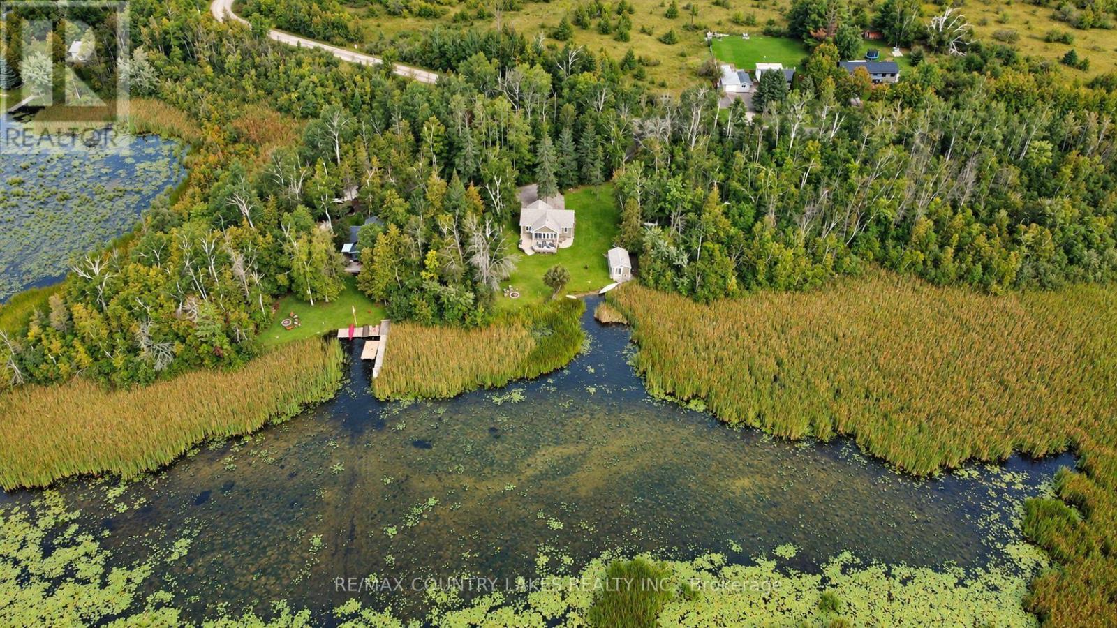 129 Mcguire Beach Road, Kawartha Lakes, Ontario K0M 2B0 - Photo 35 - X13728058