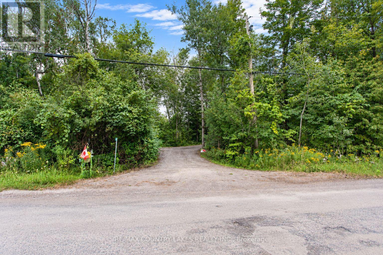129 Mcguire Beach Road, Kawartha Lakes, Ontario K0M 2B0 - Photo 40 - X13728058