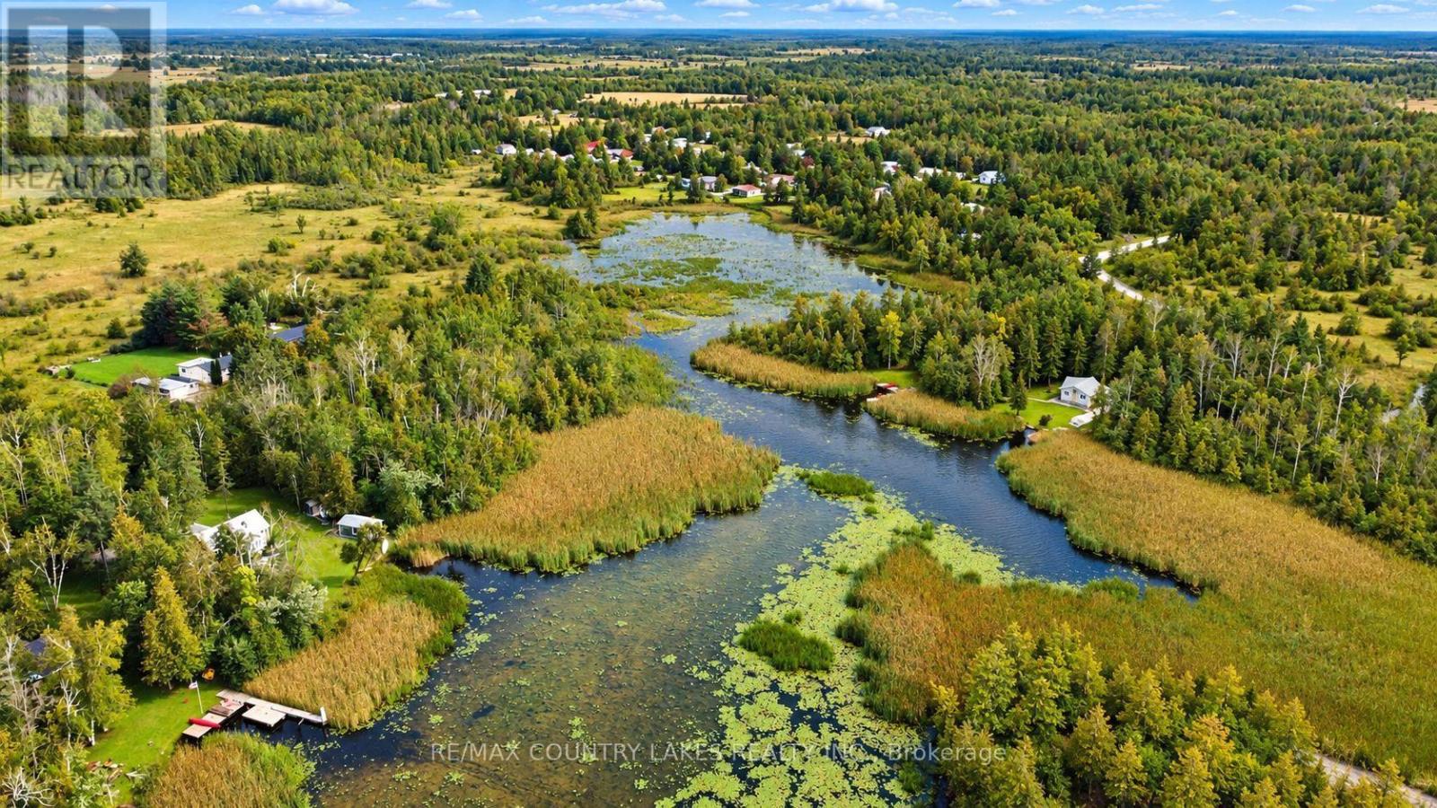 129 Mcguire Beach Road, Kawartha Lakes, Ontario K0M 2B0 - Photo 37 - X13728058