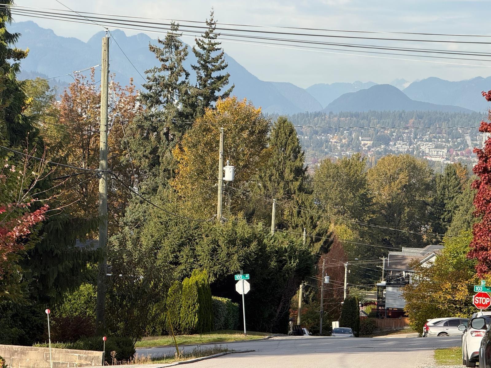 10259 124a Street, Surrey, British Columbia  V3V 4W7 - Photo 9 - R3166071