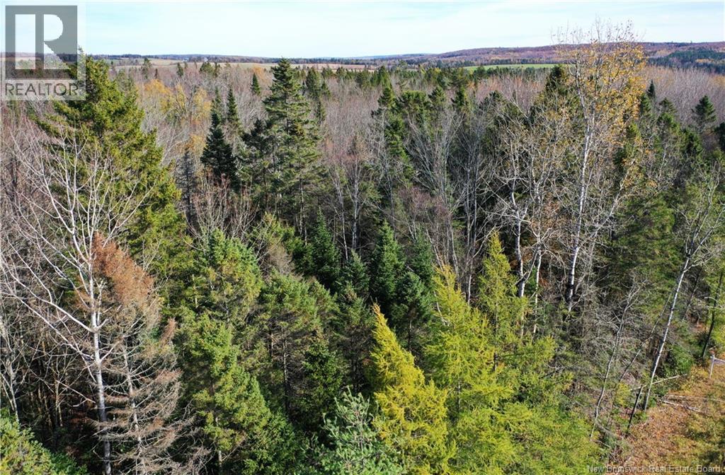 Lot 26-10 Route 855, Norton, New Brunswick  E5T 1Z8 - Photo 12 - NB144827