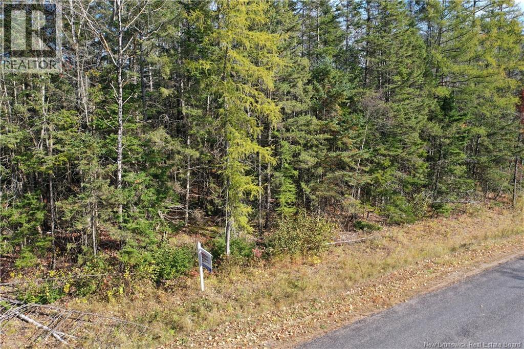 Lot 26-10 Route 855, Norton, New Brunswick  E5T 1Z8 - Photo 4 - NB144827