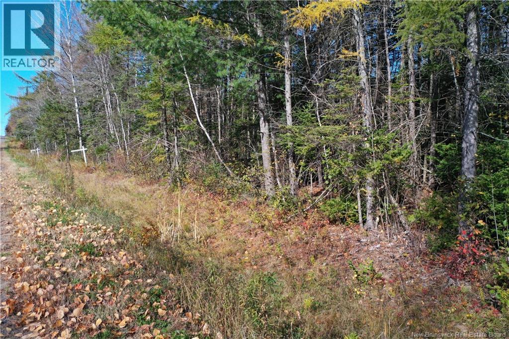 Lot 26-10 Route 855, Norton, New Brunswick  E5T 1Z8 - Photo 18 - NB144827