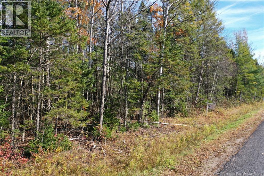 Lot 26-10 Route 855, Norton, New Brunswick  E5T 1Z8 - Photo 15 - NB144827