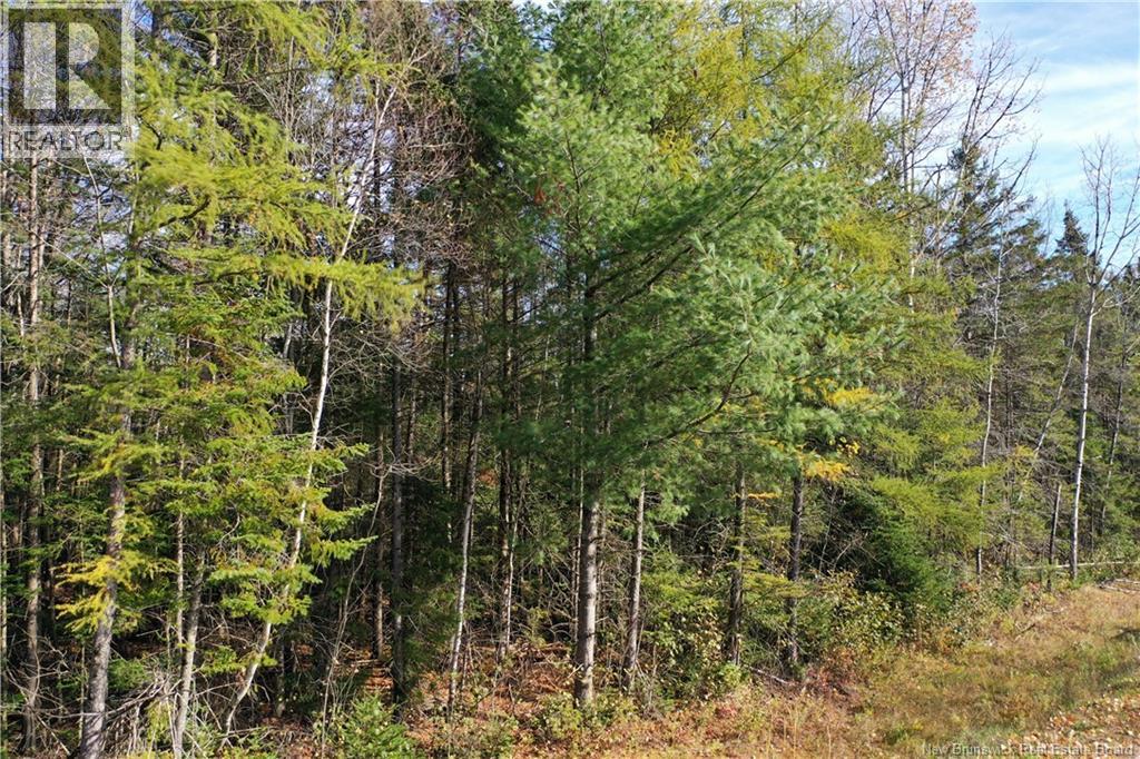 Lot 26-9 Route 855, Norton, New Brunswick  E5T 1Z8 - Photo 9 - NB149829
