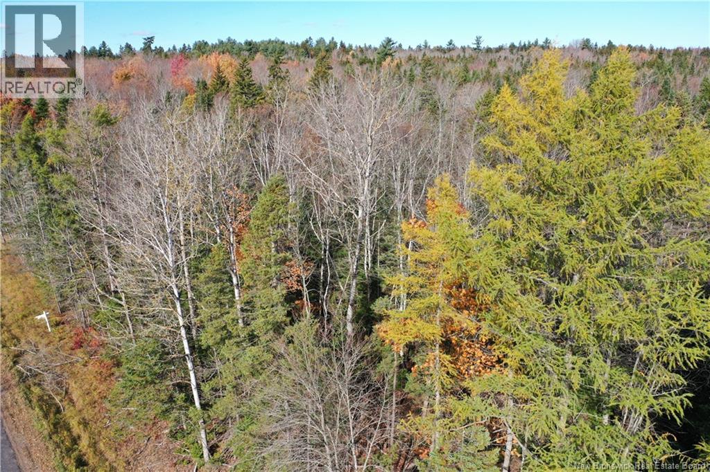 Lot 26-9 Route 855, Norton, New Brunswick  E5T 1Z8 - Photo 11 - NB149829
