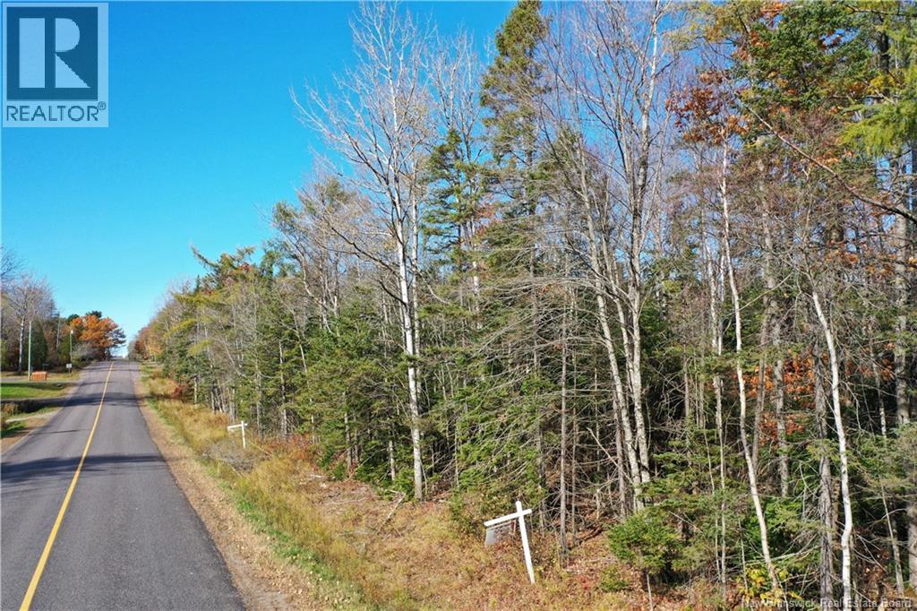 Lot 26-9 Route 855, Norton, New Brunswick  E5T 1Z8 - Photo 8 - NB149829