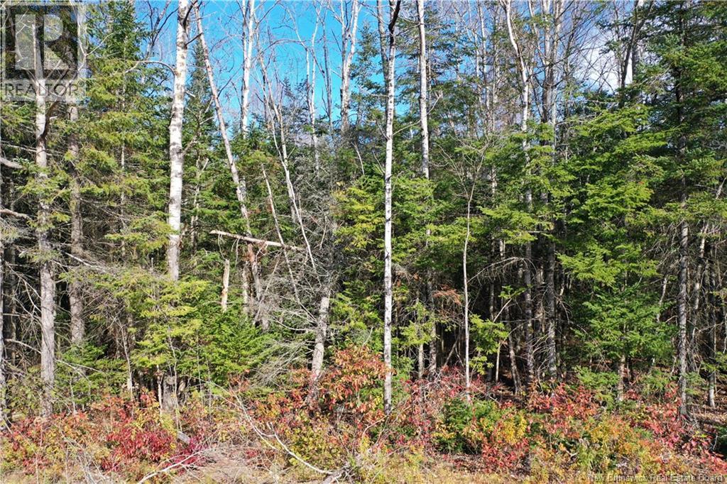 Lot 25-5 Route 855, Norton, New Brunswick  E5T 1Z8 - Photo 12 - NB144823