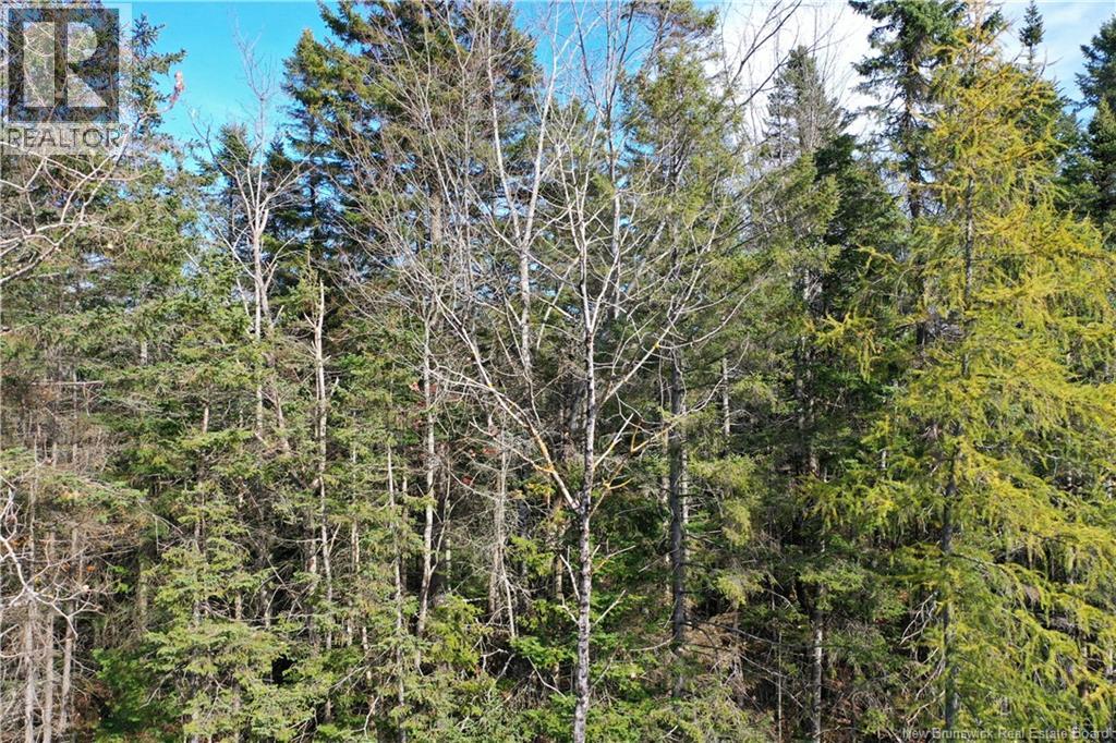Lot 25-5 Route 855, Norton, New Brunswick  E5T 1Z8 - Photo 5 - NB144823