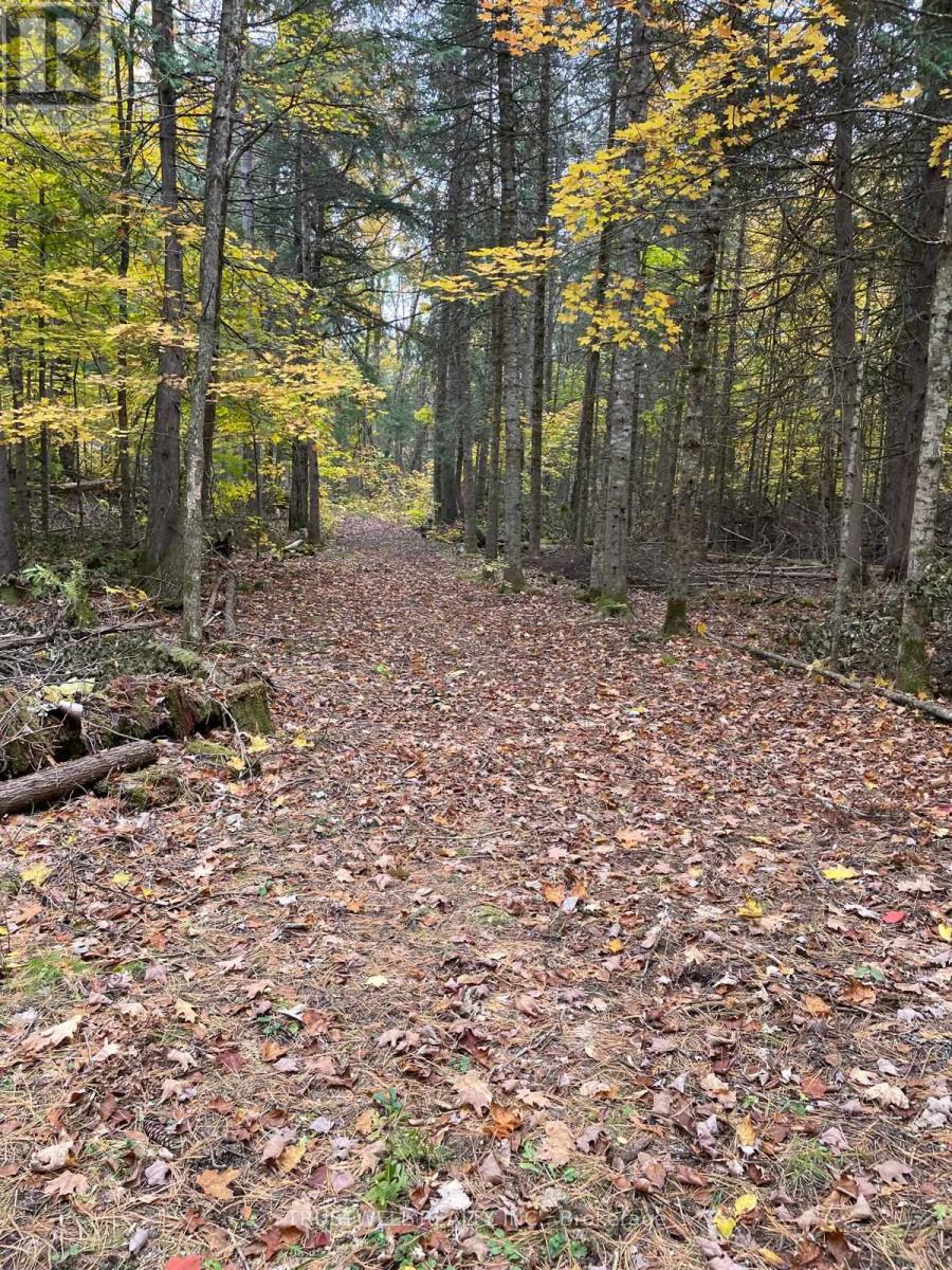 0 Little Silver Lake Road, Trent Lakes, Ontario  K0M 1A0 - Photo 2 - X14096026