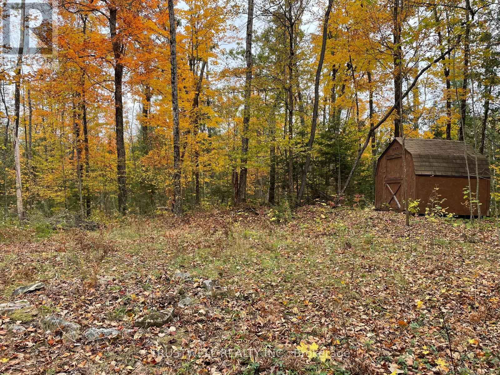 0 Little Silver Lake Road, Trent Lakes, Ontario  K0M 1A0 - Photo 3 - X14096026