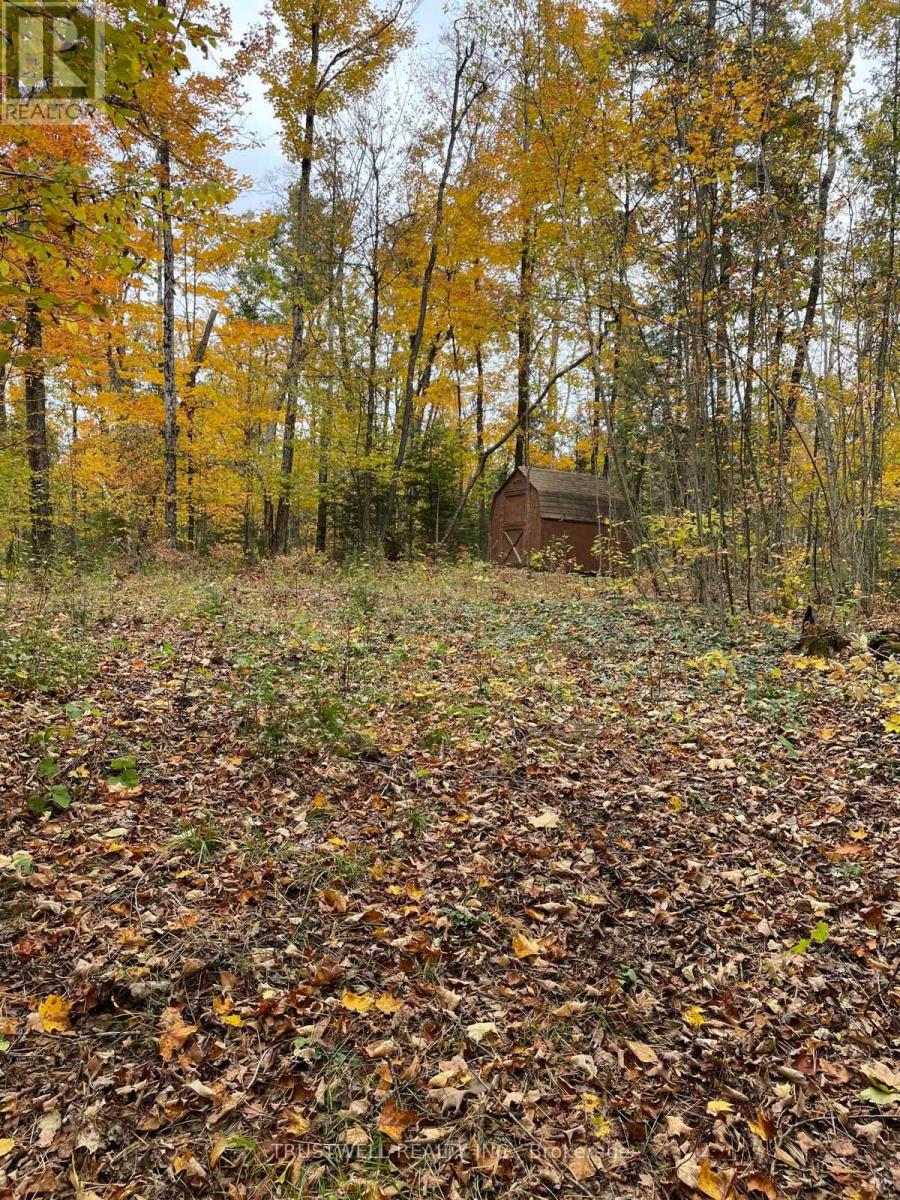 0 Little Silver Lake Road, Trent Lakes, Ontario  K0M 1A0 - Photo 4 - X14096026
