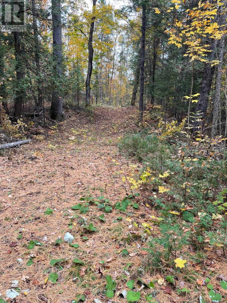 0 Little Silver Lake Road, Trent Lakes, Ontario  K0M 1A0 - Photo 5 - X14096026