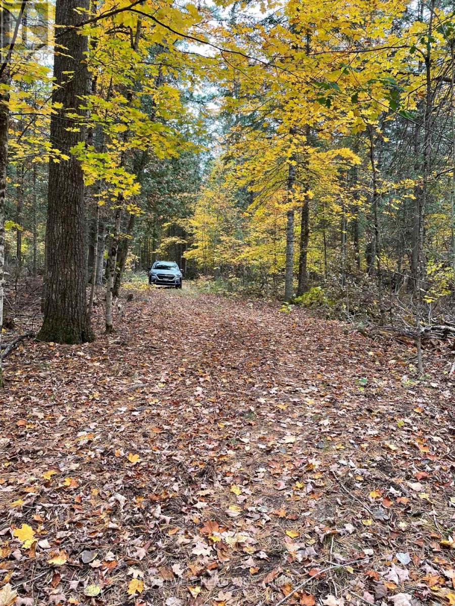 0 Little Silver Lake Road, Trent Lakes, Ontario  K0M 1A0 - Photo 6 - X14096026