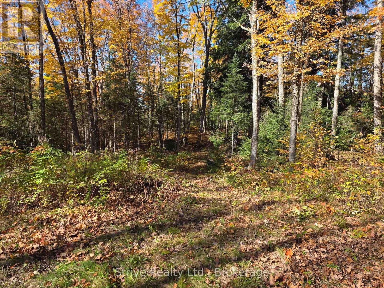 1303 Whites Road, Frontenac, Ontario  K0H 1B0 - Photo 12 - X13694646