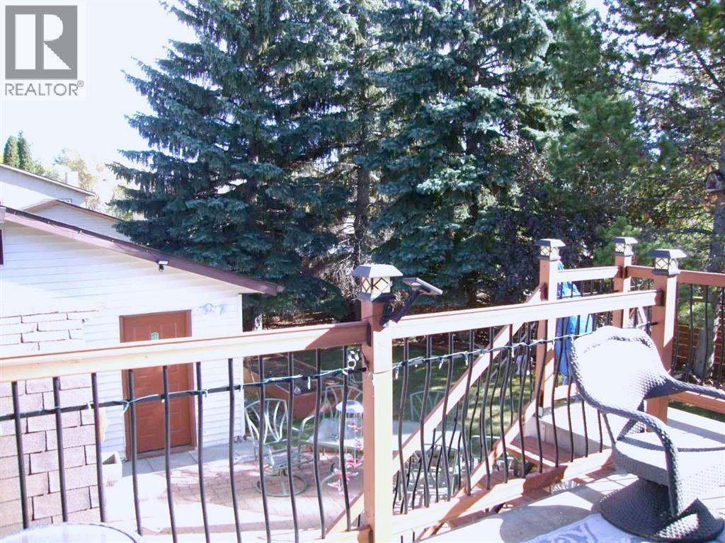 9 Ray Avenue, Red Deer, Alberta  T4P 3B9 - Photo 37 - A2349000