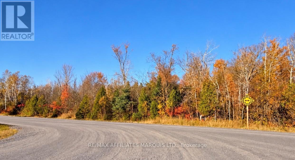Pt E 1/2 Lot 24 Chapel Road, South Glengarry, Ontario  K0C 1S0 - Photo 2 - X14096262