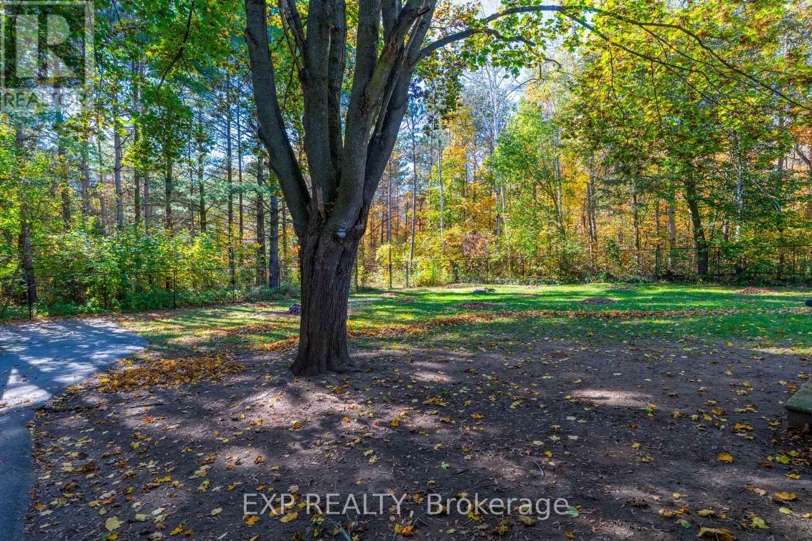 20194 Main Street, Caledon, Ontario  L7K 1P7 - Photo 25 - W14096330