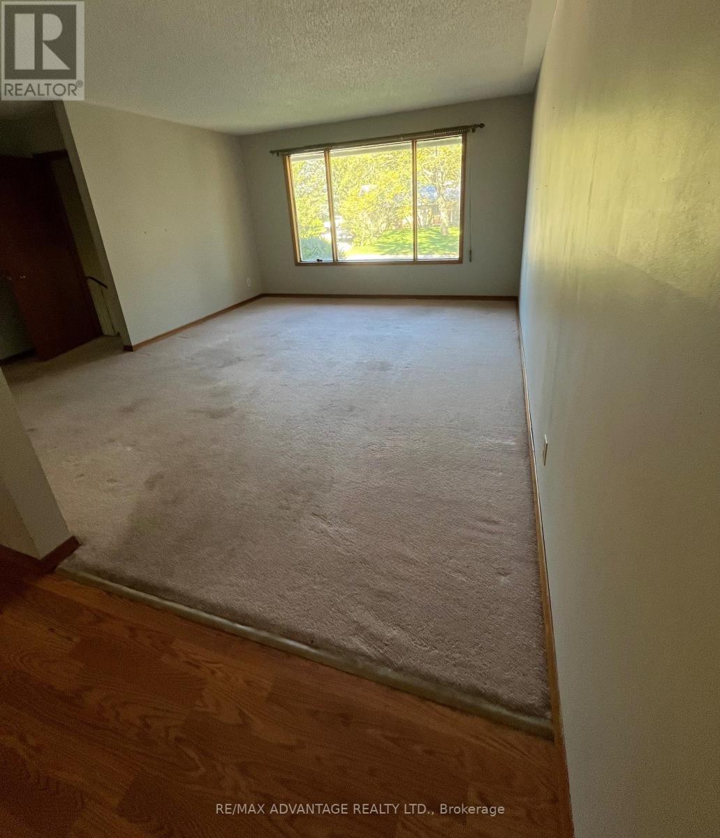 6 William Street, Tillsonburg, Ontario  N4G 1L7 - Photo 23 - X14096510