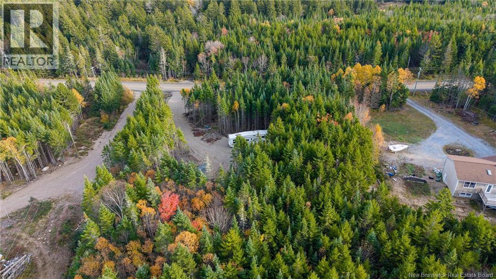 Lot 10-07 Route 790, Musquash, New Brunswick  E5J 2C7 - Photo 6 - NB149593