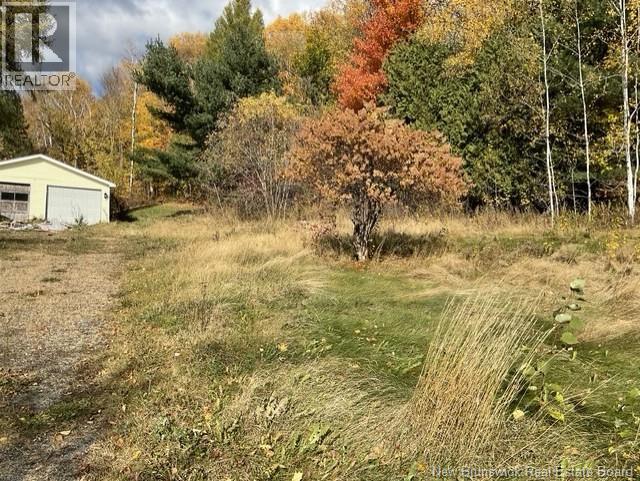 35 Hospital Street, Bath, New Brunswick  E7J 1B5 - Photo 4 - NB149816