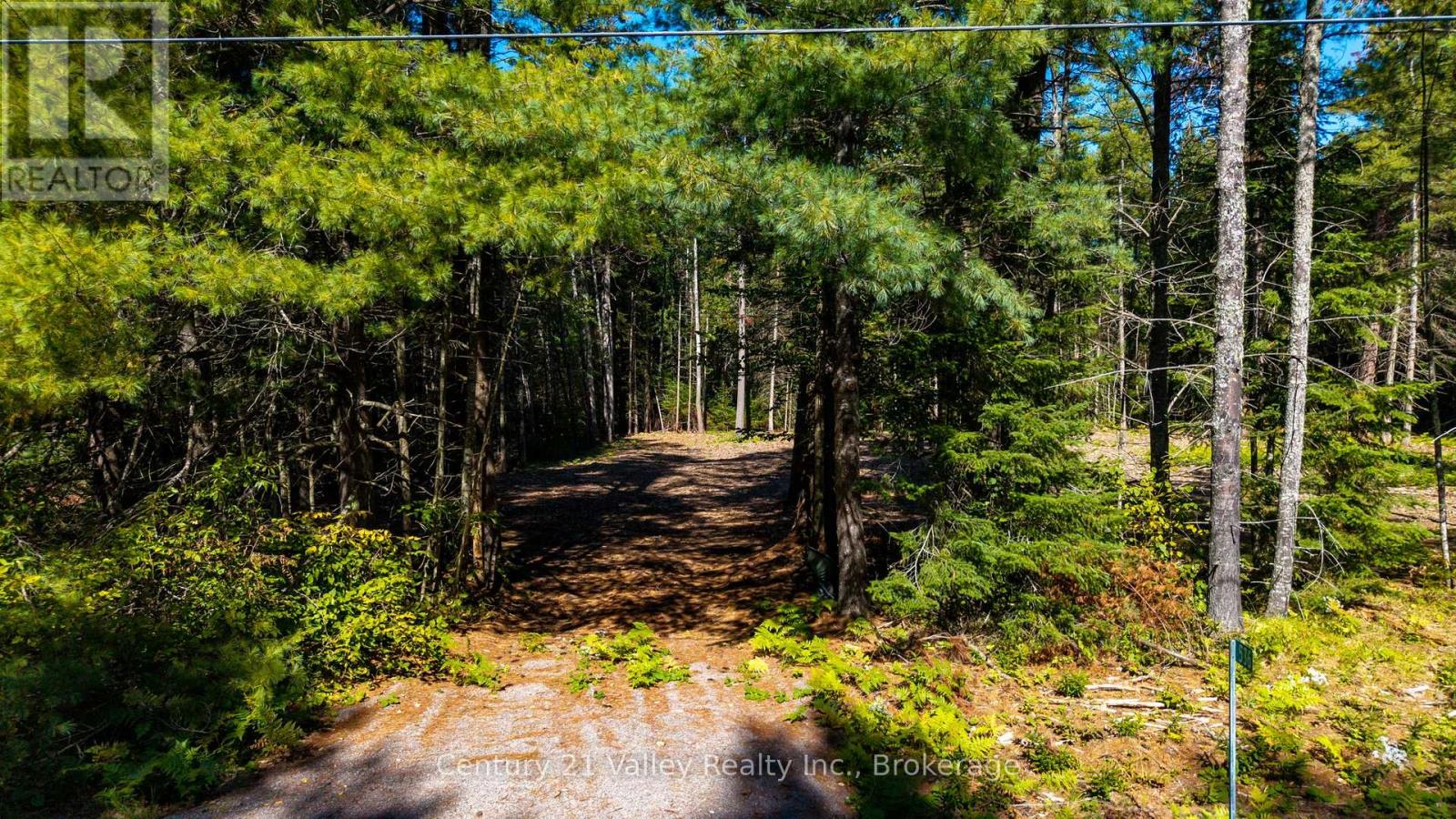 536 Pine Street, Greater Madawaska, Ontario