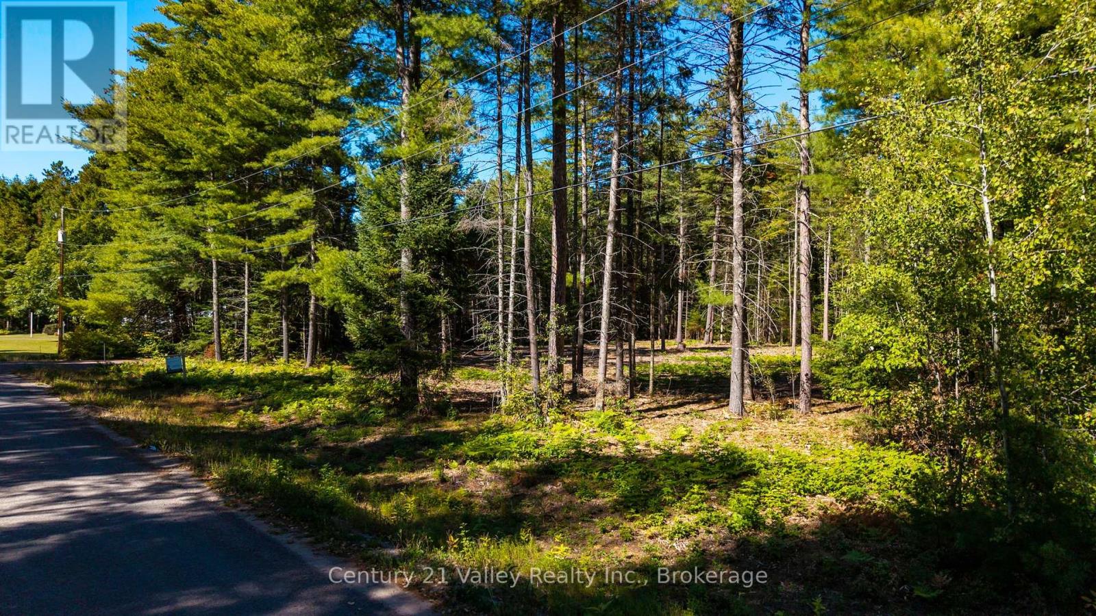 536 Pine Street, Greater Madawaska, Ontario K0J 2R0 - Photo 18 - X14096714
