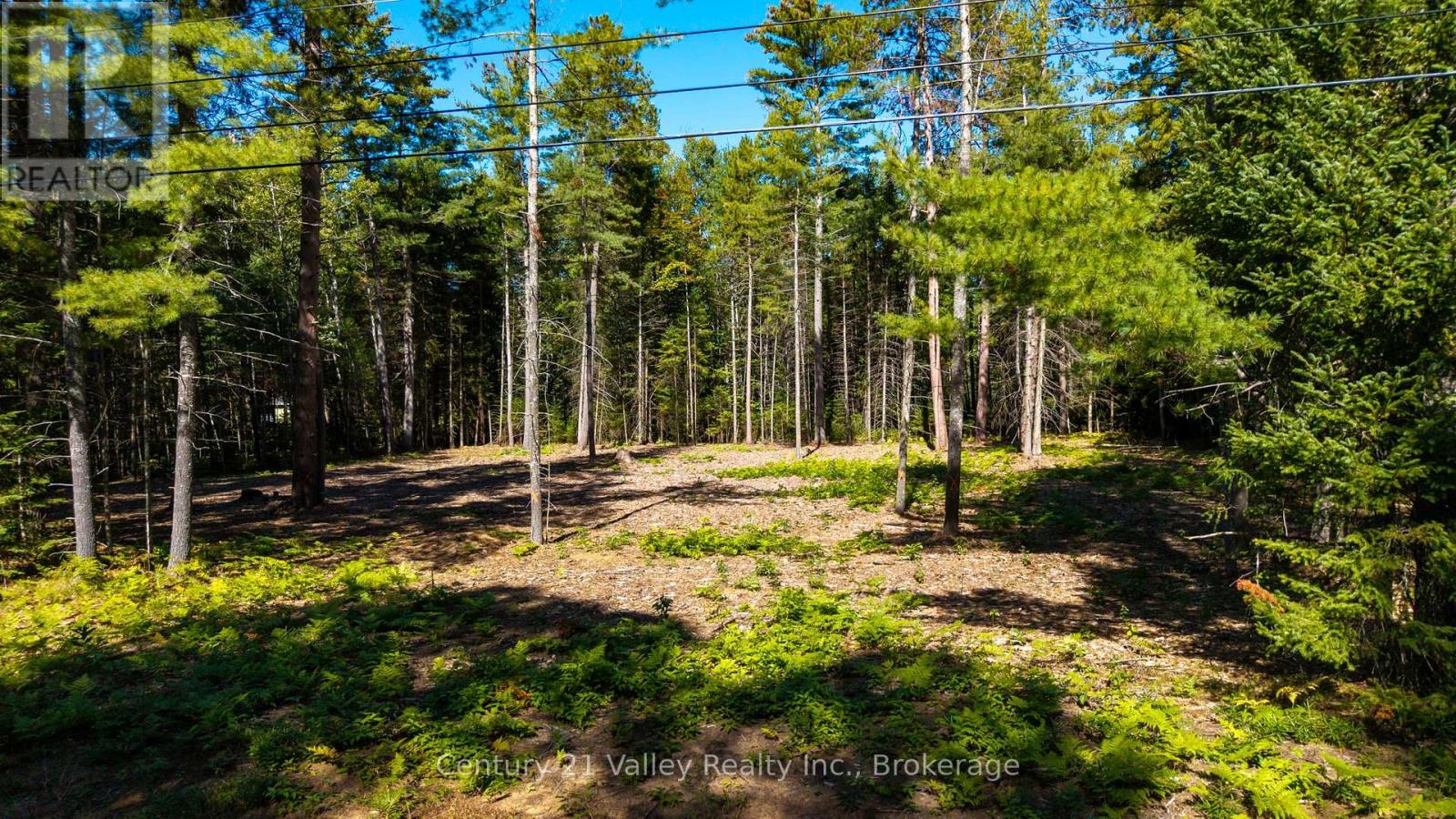 536 Pine Street, Greater Madawaska, Ontario K0J 2R0 - Photo 2 - X14096714