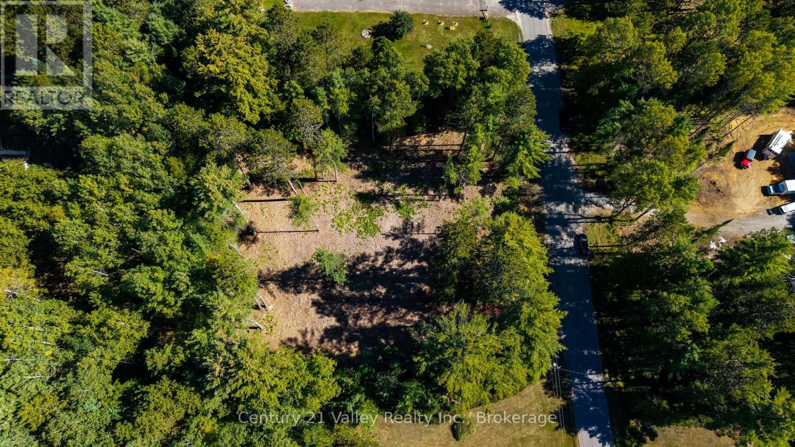 536 Pine Street, Greater Madawaska, Ontario K0J 2R0 - Photo 4 - X14096714