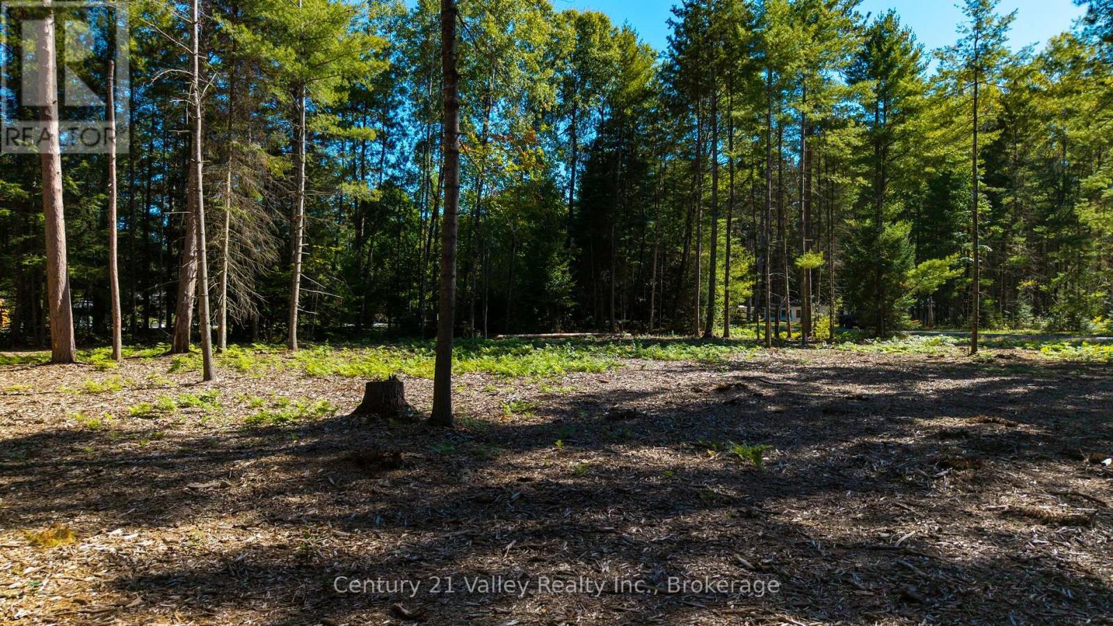 536 Pine Street, Greater Madawaska, Ontario K0J 2R0 - Photo 7 - X14096714