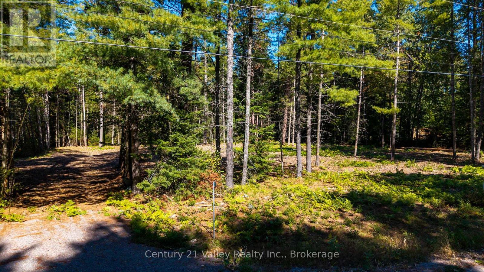 536 Pine Street, Greater Madawaska, Ontario K0J 2R0 - Photo 8 - X14096714