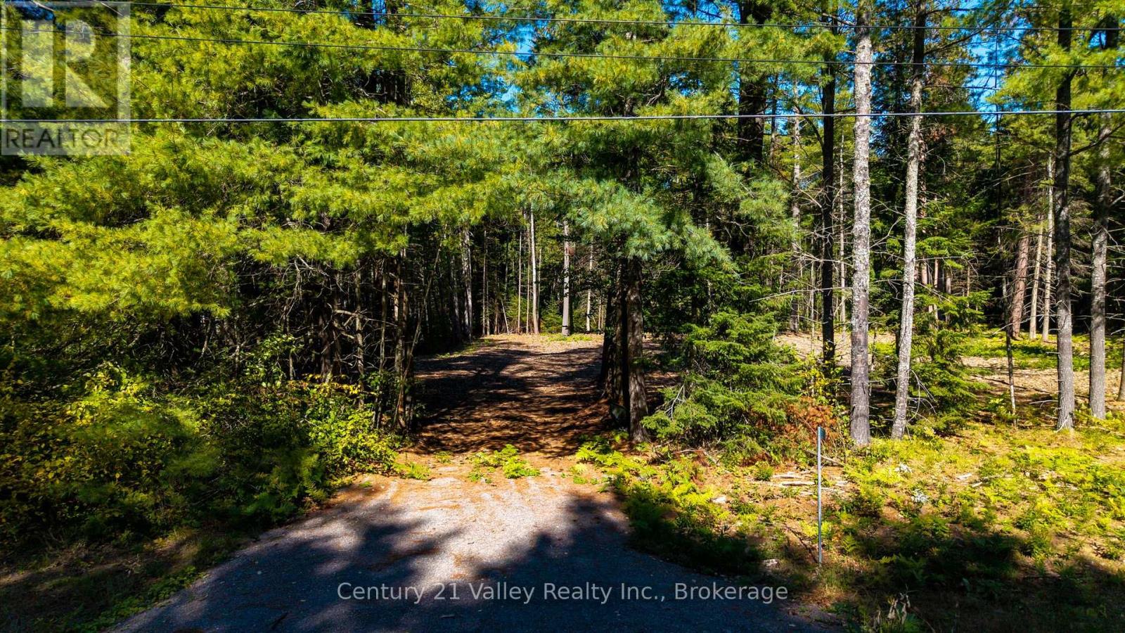 536 Pine Street, Greater Madawaska, Ontario K0J 2R0 - Photo 9 - X14096714