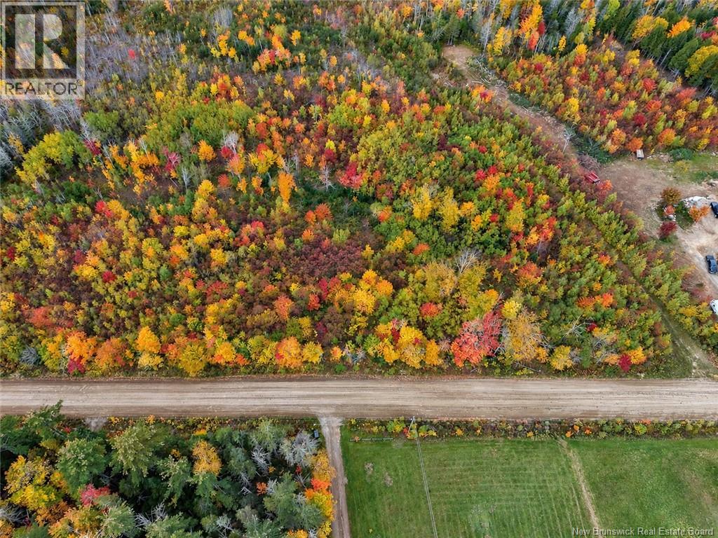 Lot 5 Tay Falls Road, Stanley, New Brunswick  E6B 1M7 - Photo 3 - NB149775