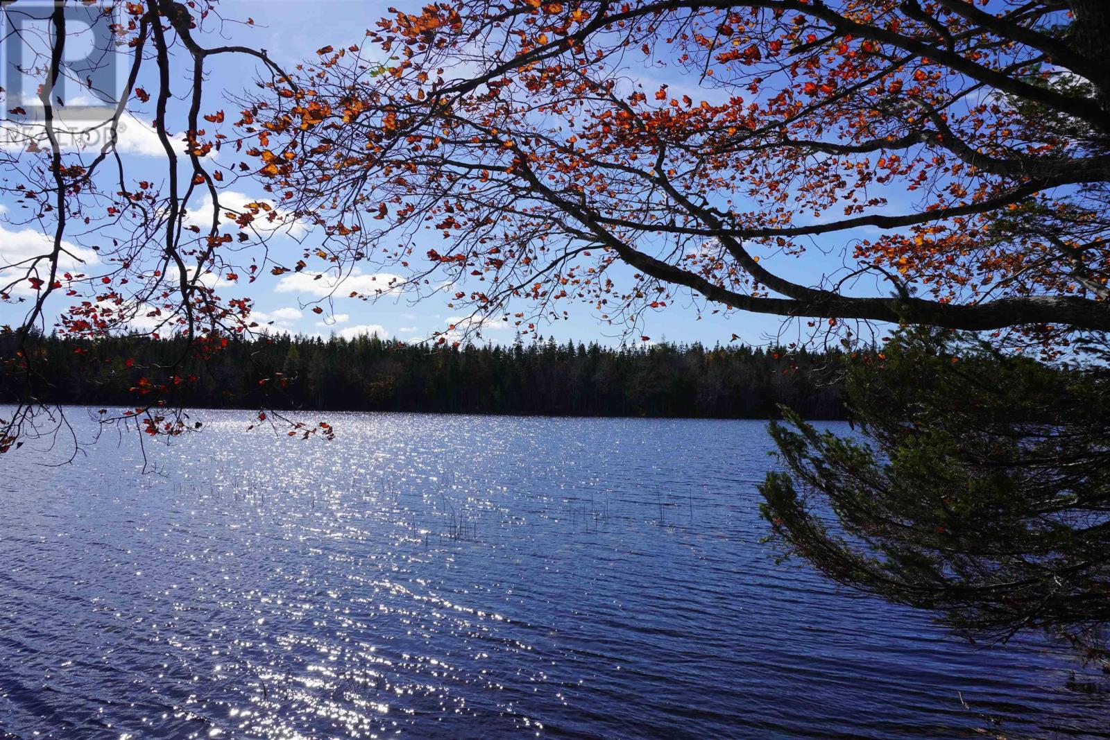 98-11 Salem Road|Gabe MacIssac Dr, Loch Lomond, Nova Scotia
