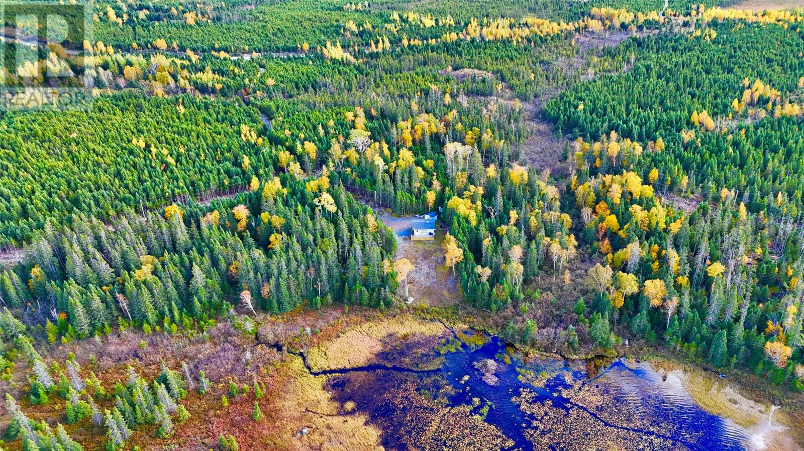 0 Joe Batts Pond Road, Gander — photo 31