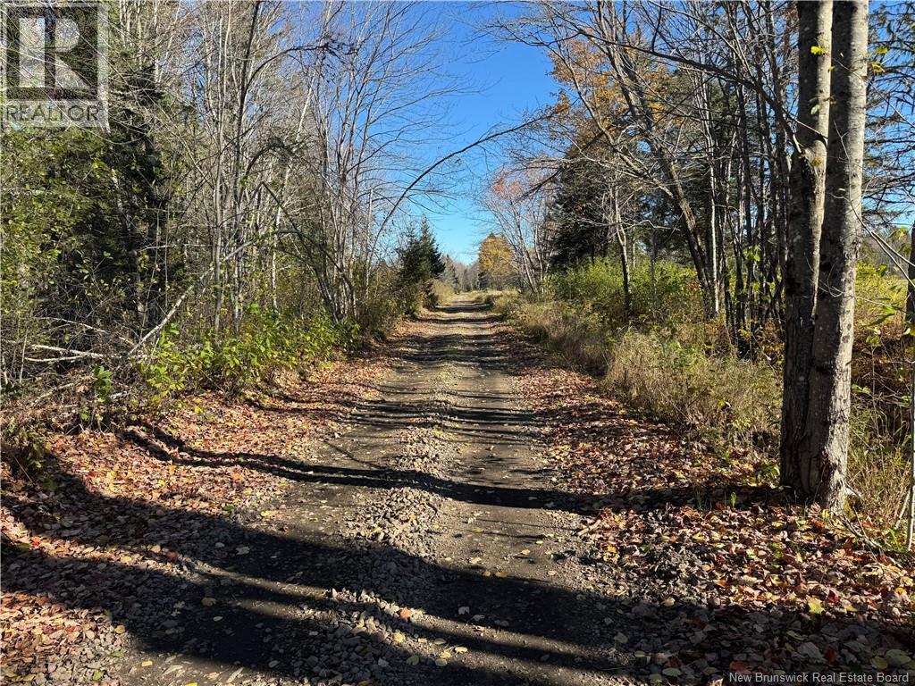 18.28 Hec Route 108, Bryenton, New Brunswick  E1V 5C6 - Photo 7 - NB147607