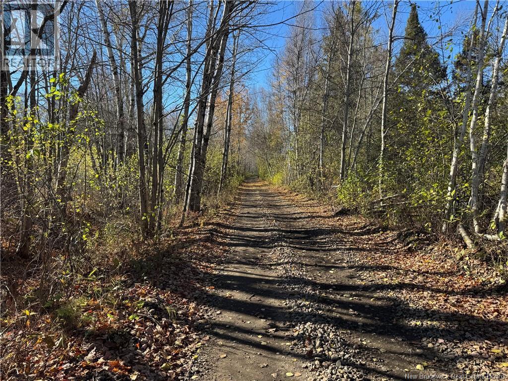 18.28 Hec Route 108, Bryenton, New Brunswick  E1V 5C6 - Photo 4 - NB147607