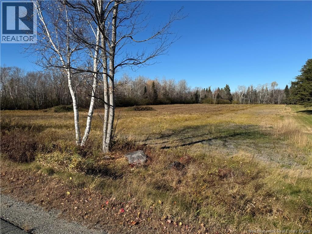 18.28 Hec Route 108, Bryenton, New Brunswick  E1V 5C6 - Photo 5 - NB147607