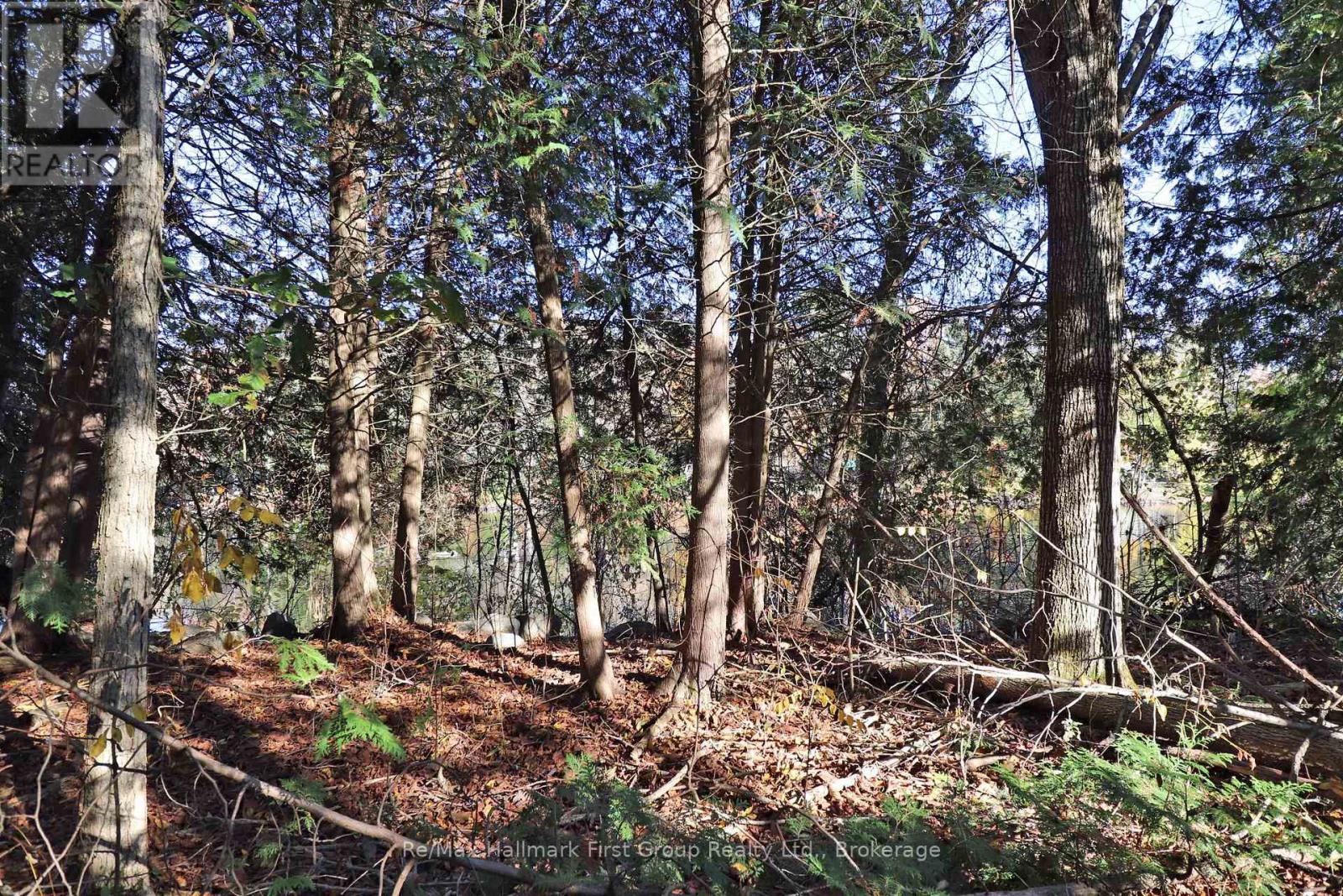 Lt 16 Sunsmile Lane, Tweed, Ontario  K0K 3J0 - Photo 16 - X14096892