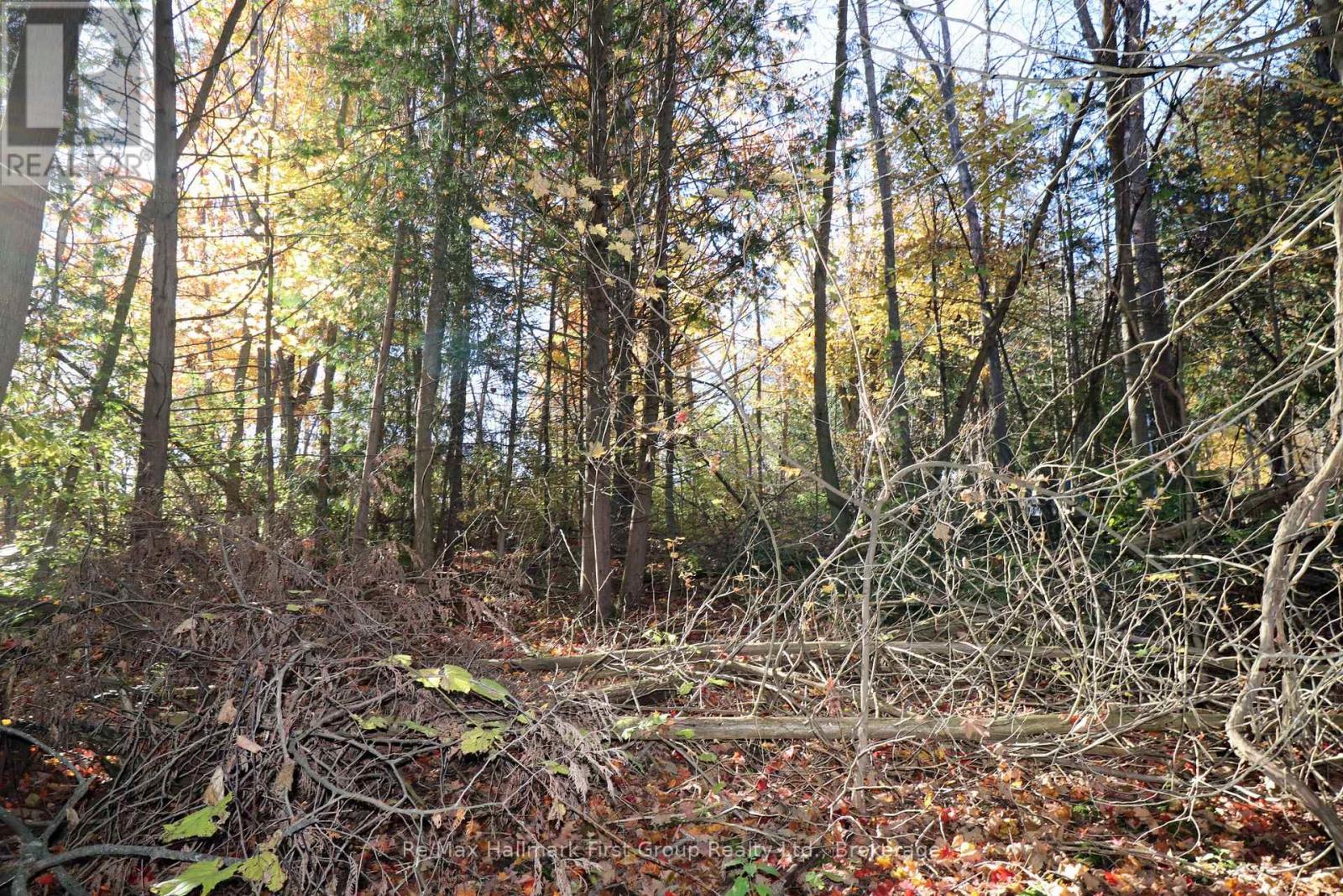 Lt 16 Sunsmile Lane, Tweed, Ontario  K0K 3J0 - Photo 18 - X14096892