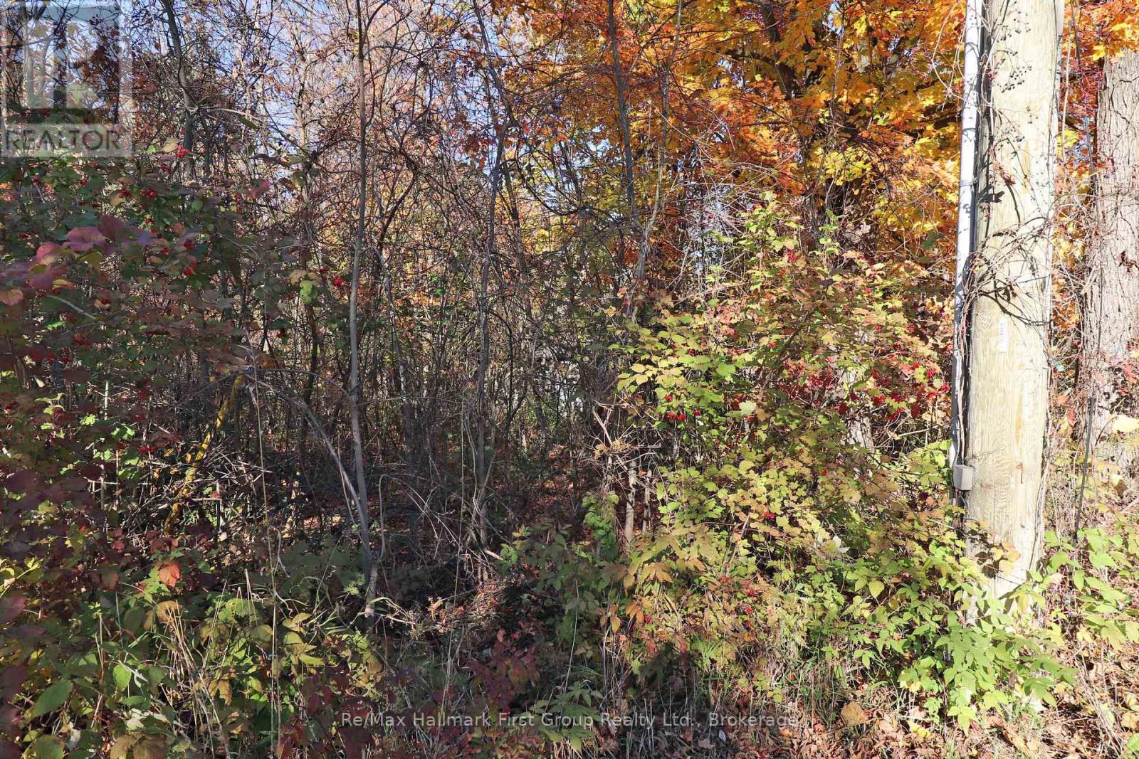 Lt 16 Sunsmile Lane, Tweed, Ontario  K0K 3J0 - Photo 19 - X14096892