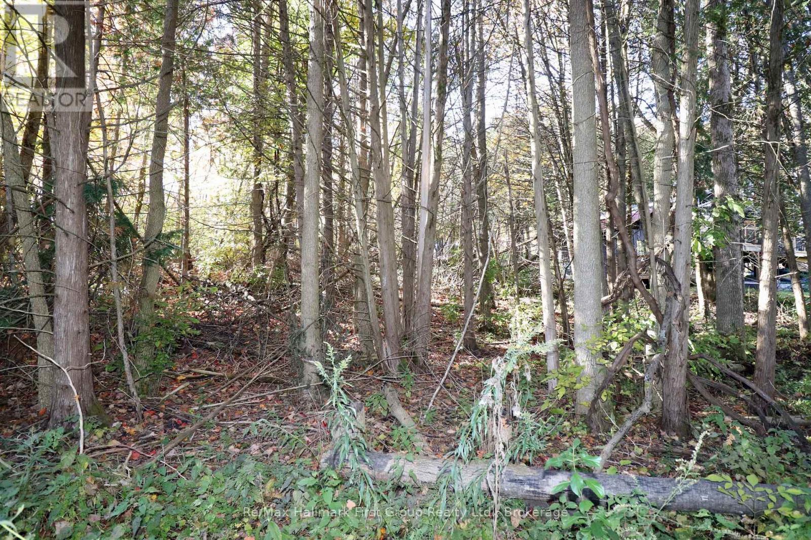 Lt 16 Sunsmile Lane, Tweed, Ontario  K0K 3J0 - Photo 2 - X14096892
