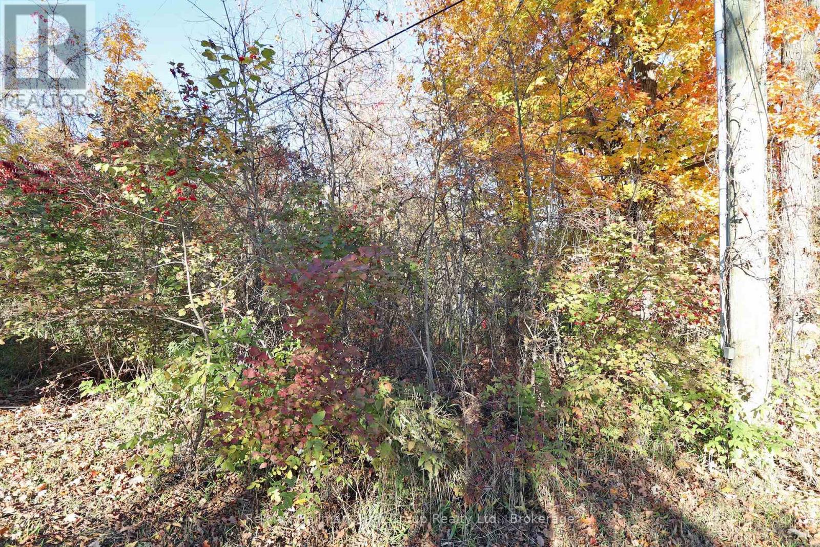 Lt 16 Sunsmile Lane, Tweed, Ontario  K0K 3J0 - Photo 20 - X14096892