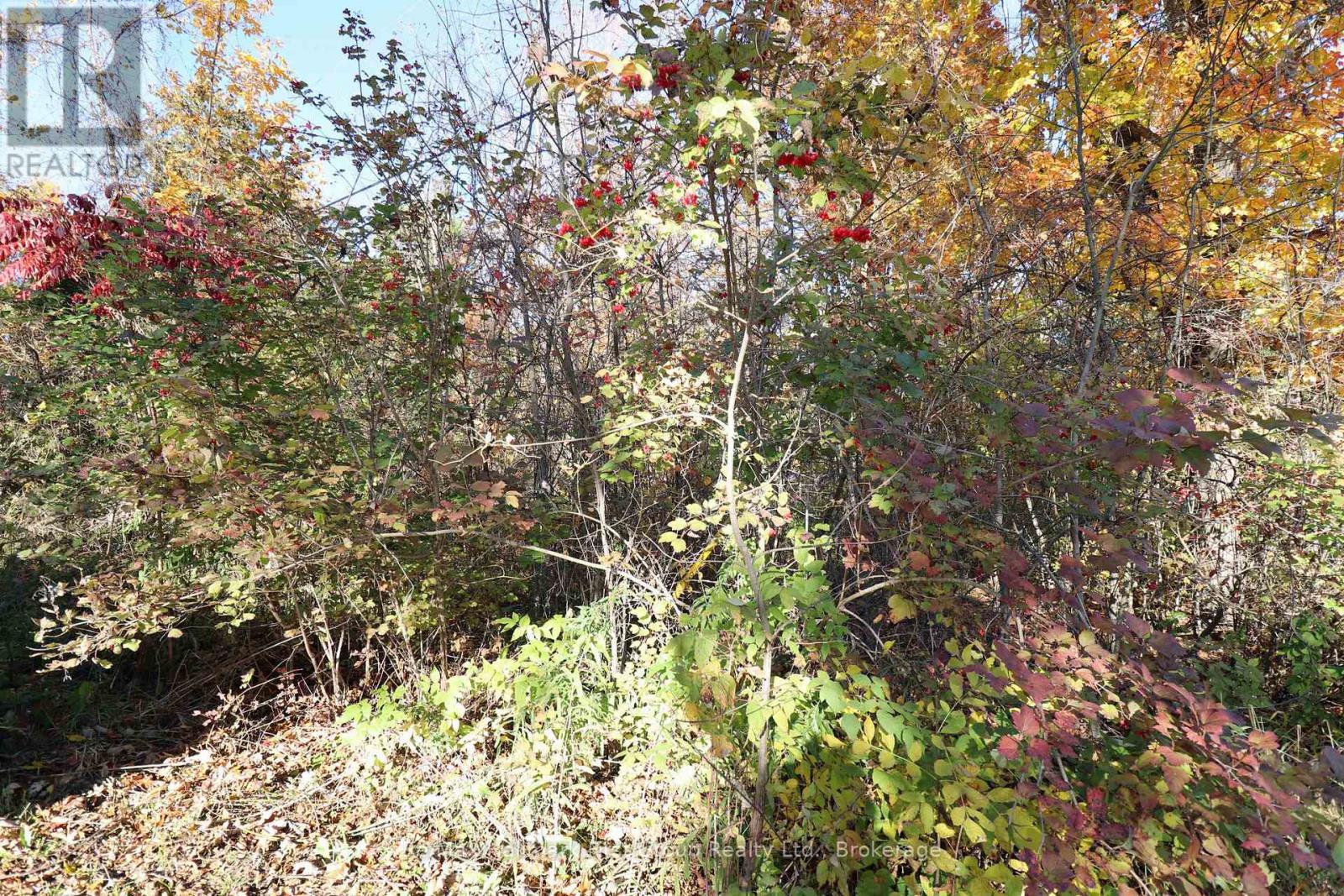 Lt 16 Sunsmile Lane, Tweed, Ontario  K0K 3J0 - Photo 21 - X14096892